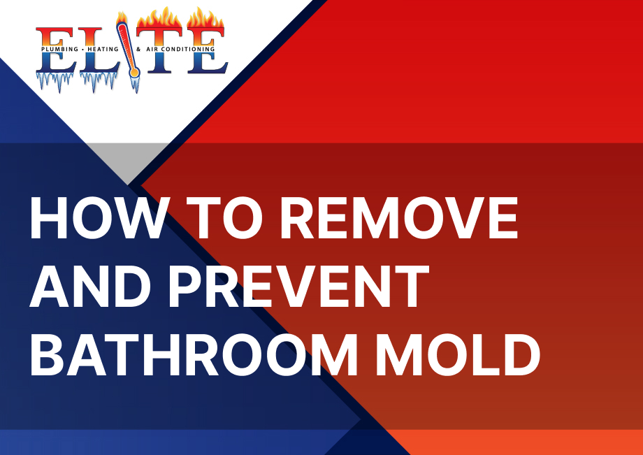 to Remove and Prevent Bathroom Mold