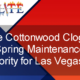 Cottonwood clog affecting AC performance in Las Vegas